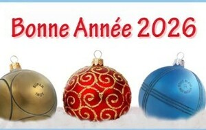 Meilleurs vœux 2026