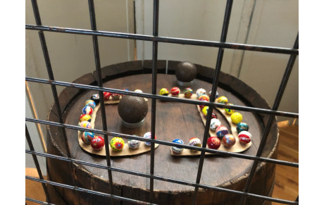 Dates et lieux championnats départementaux, régionaux, France et manifestations diverses