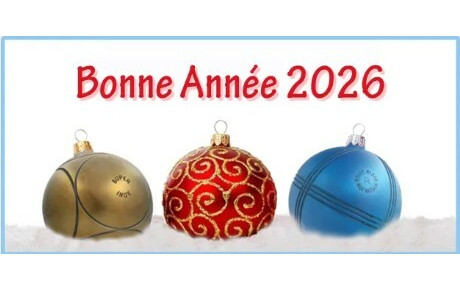 Meilleurs vœux 2026
